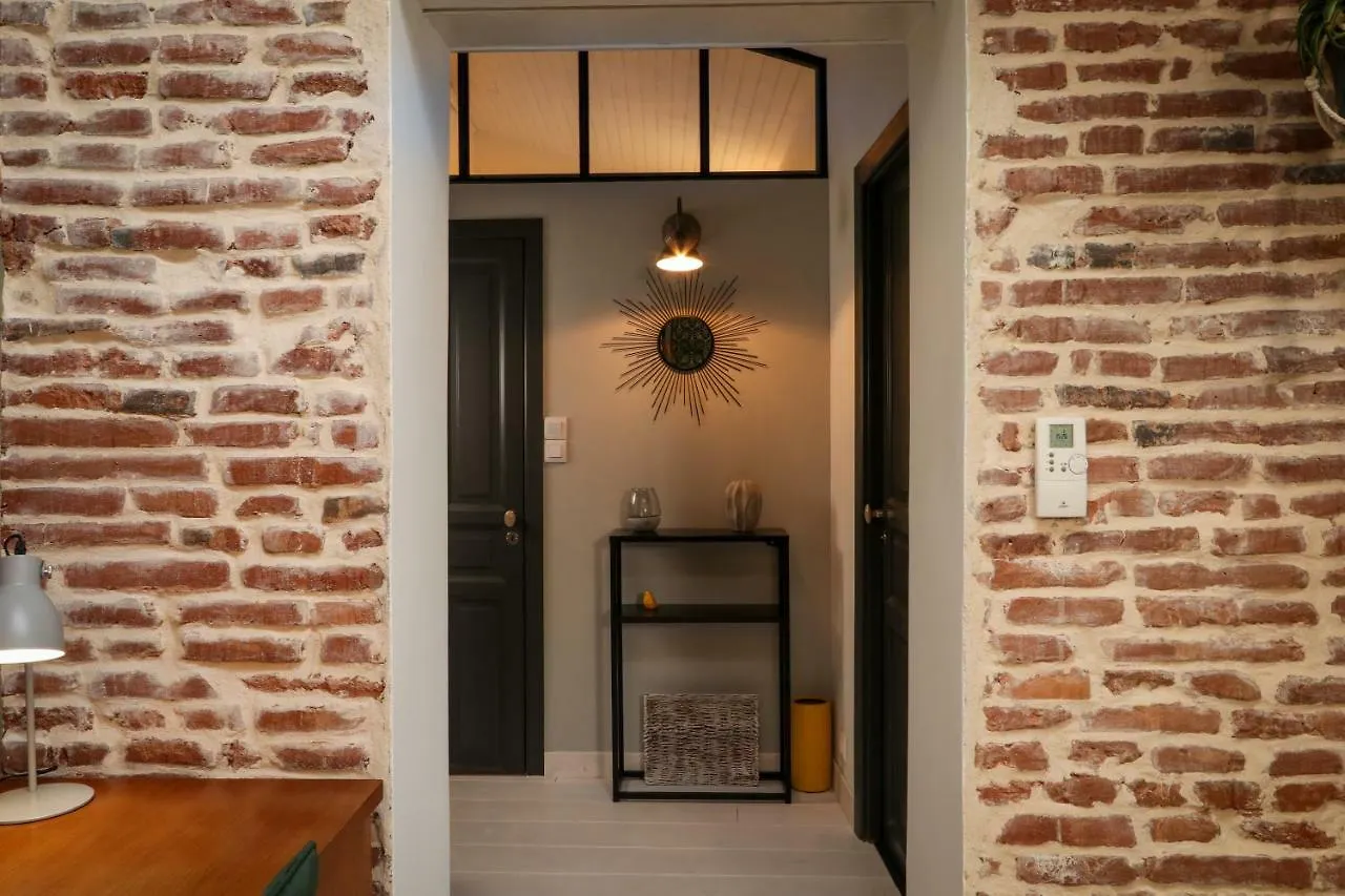 6 Rue D'Aubuisson Apartment Toulouse France
