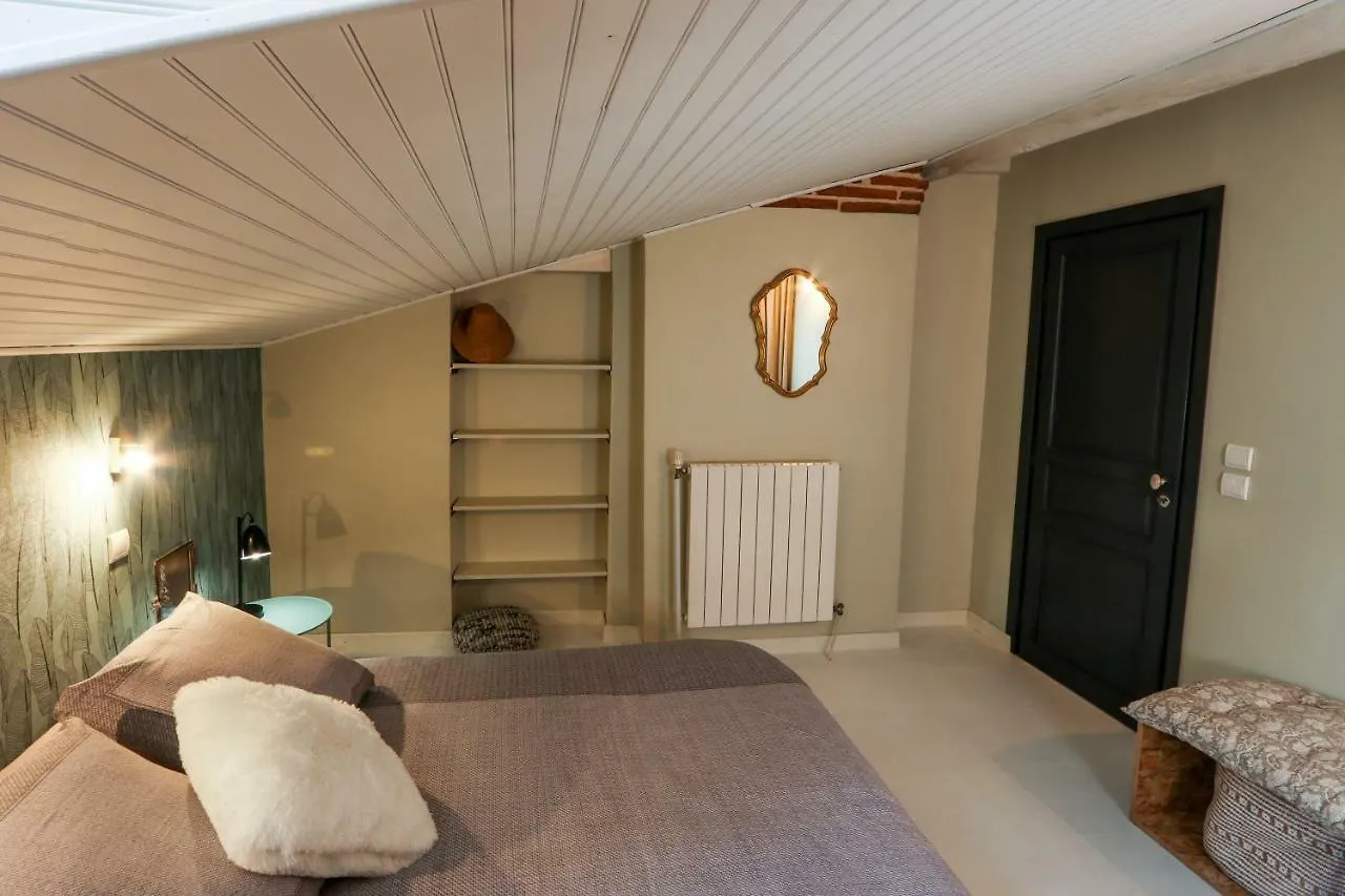 6 Rue D'Aubuisson Apartment Toulouse