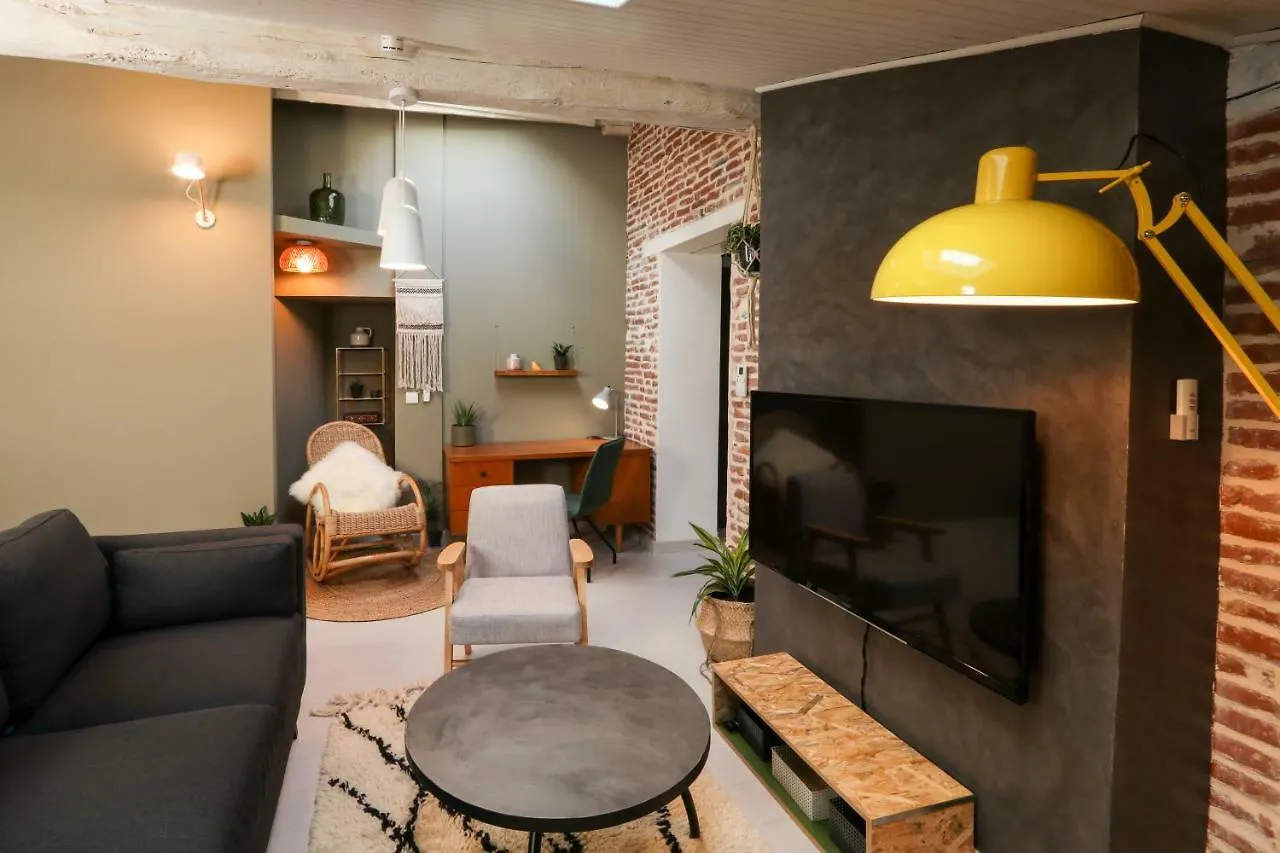 6 Rue D'Aubuisson Apartment Toulouse France