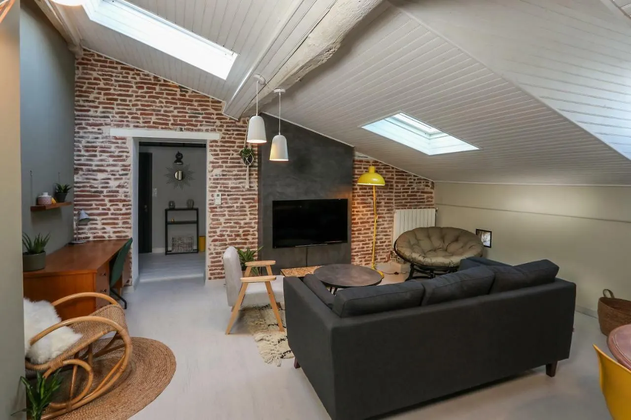 6 Rue D'Aubuisson Apartment Toulouse 0*,