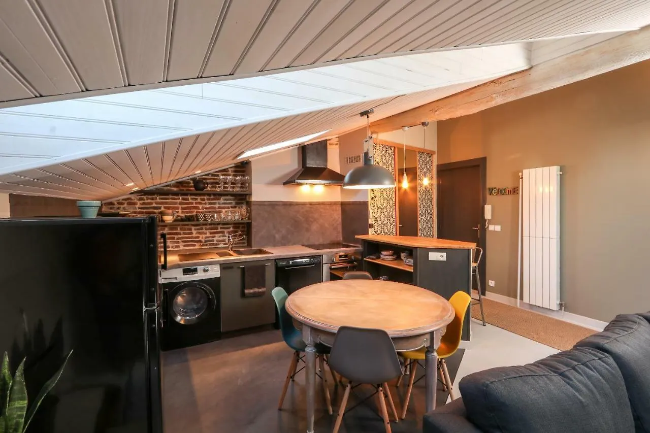 6 Rue D'Aubuisson Apartment Toulouse