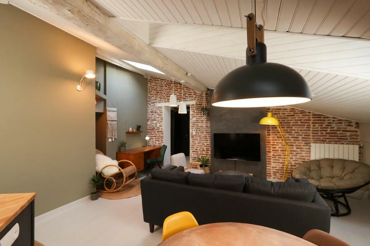 6 Rue D'Aubuisson Apartment Toulouse France